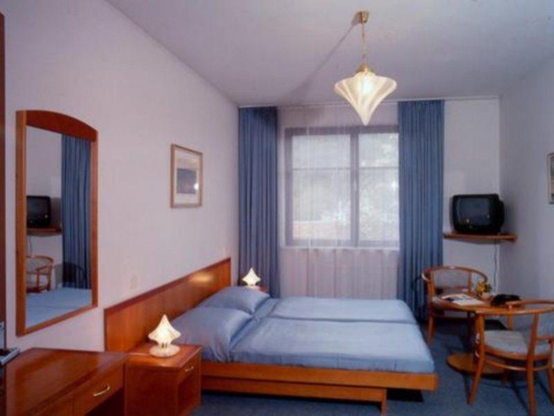 Hotel Dalimil Prague Phòng bức ảnh